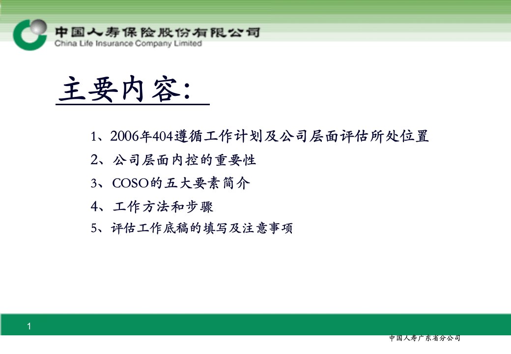 中国人寿公司层面内部控制与评估培训93页PPT