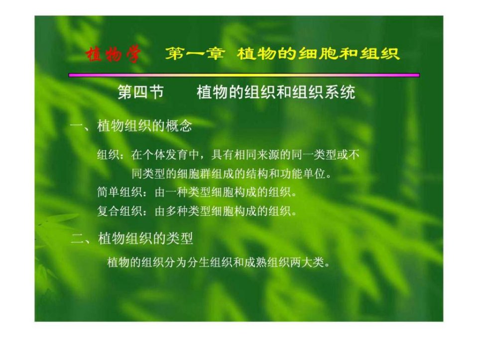 植物的组织和组织系统