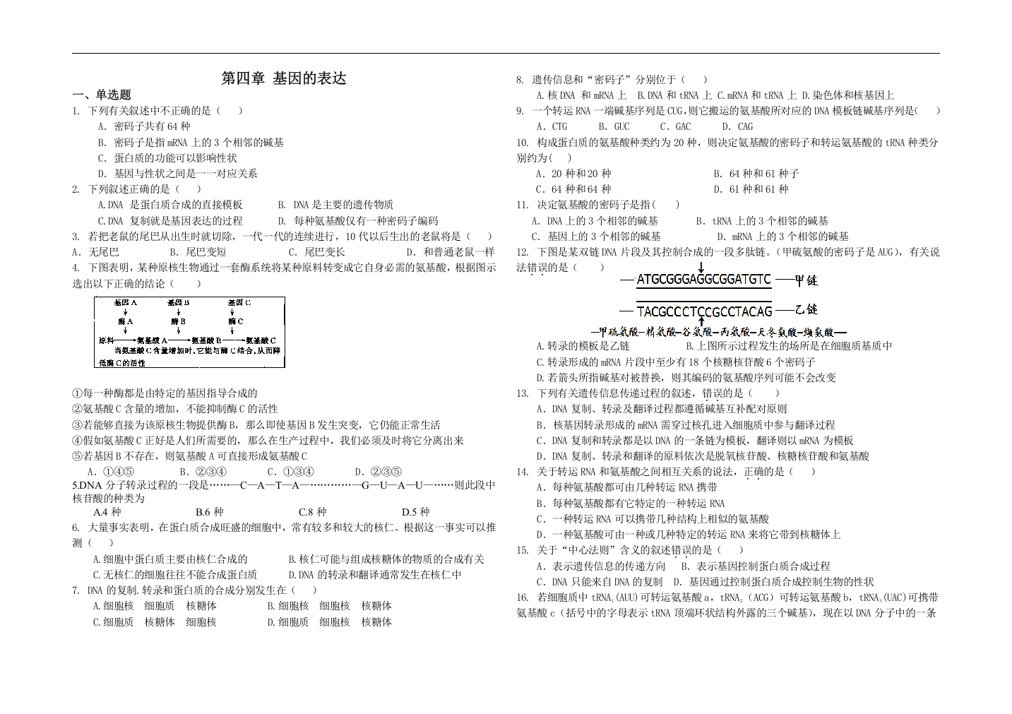 第4章-基因的表达