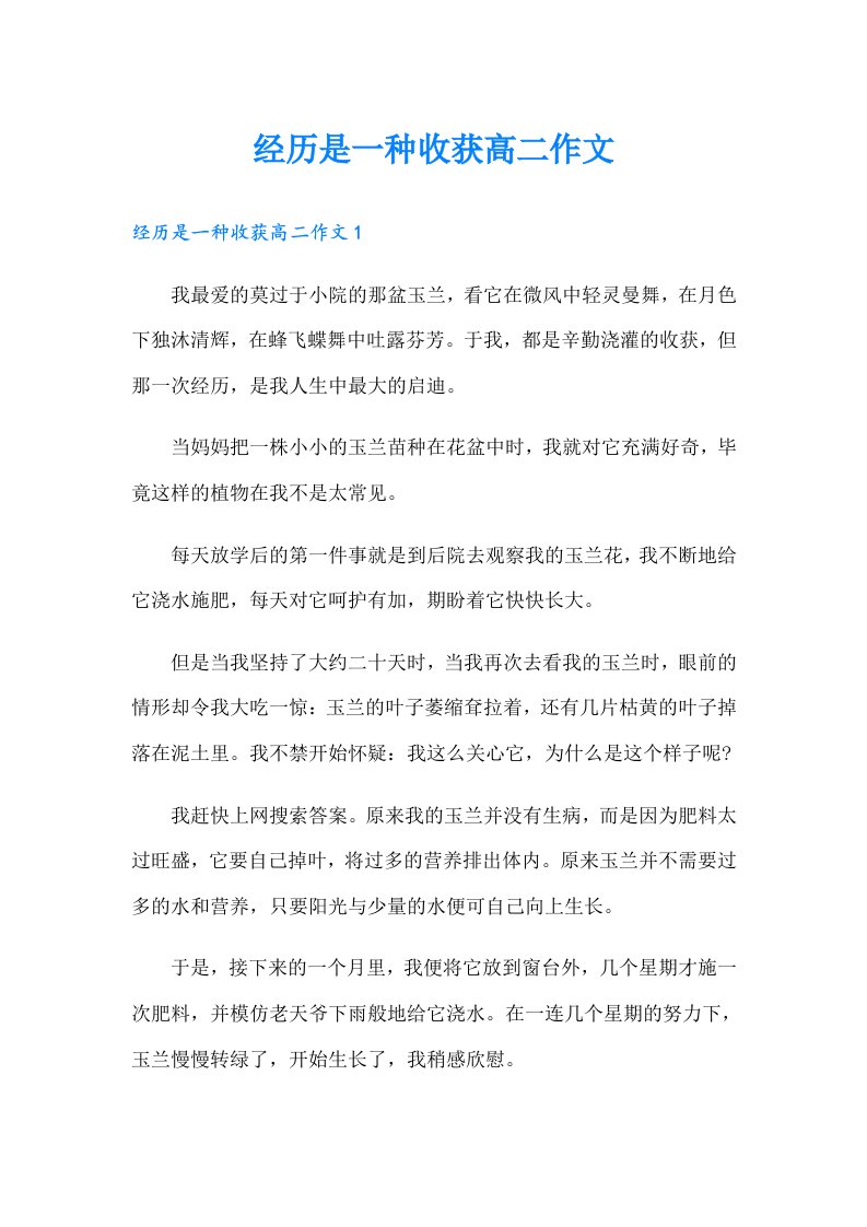 经历是一种收获高二作文