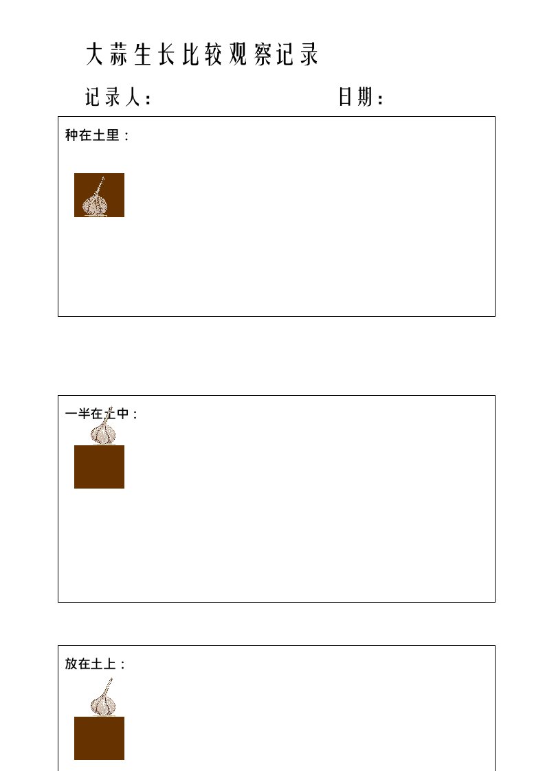 幼儿园种植角-大蒜生长比较观察记录表