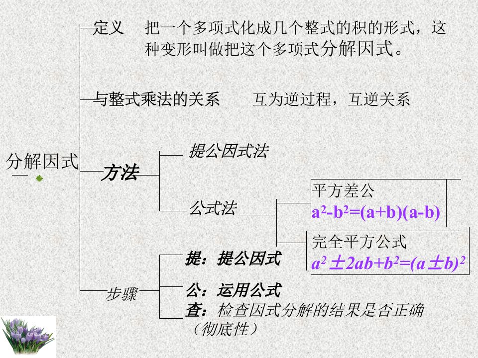 1443因式分解复习