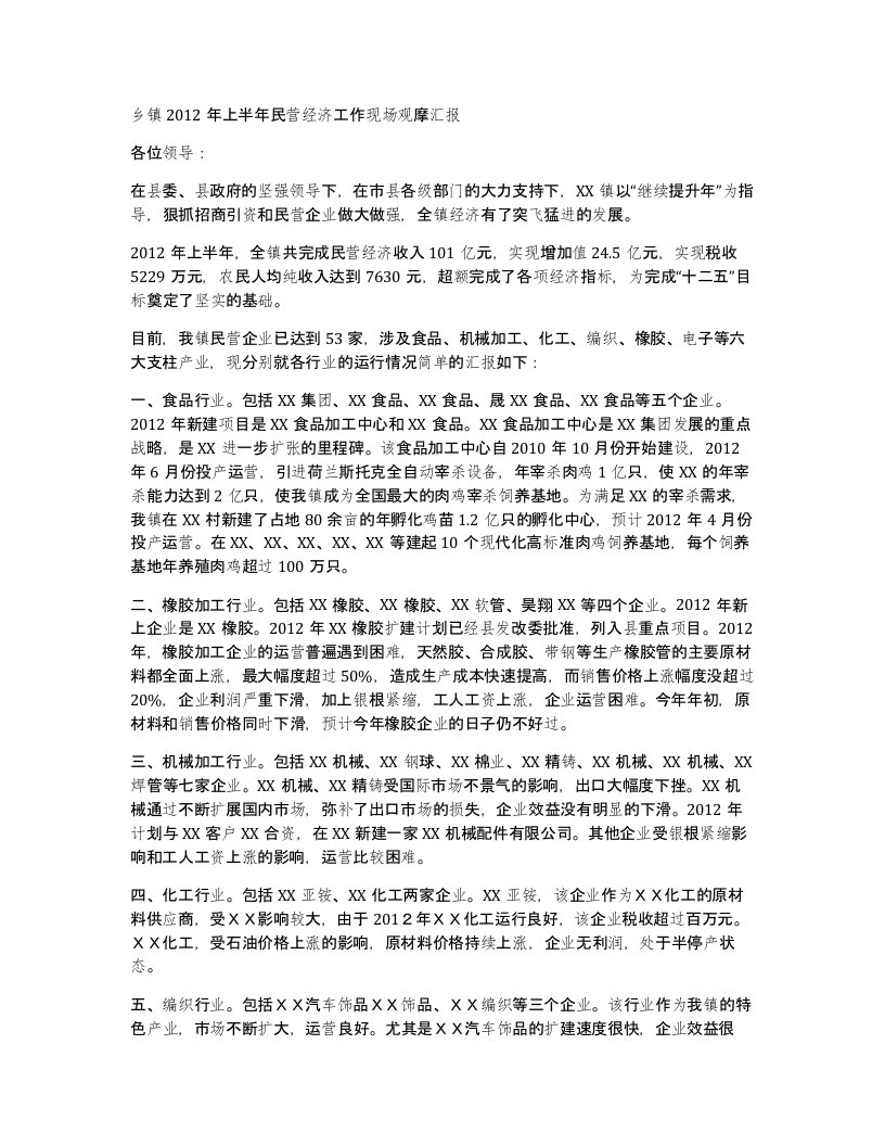 乡镇2012年上半年民营经济工作现场观摩汇报