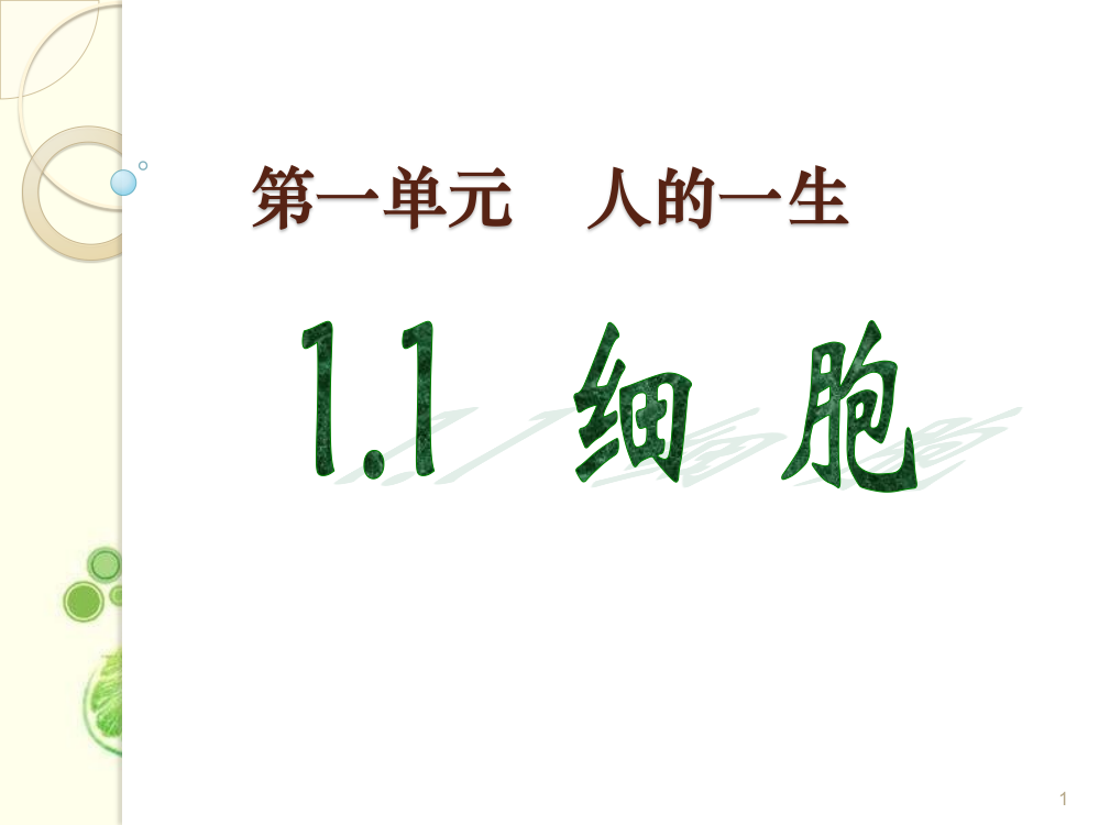 青岛版科学六年级下册1细胞ppt课件