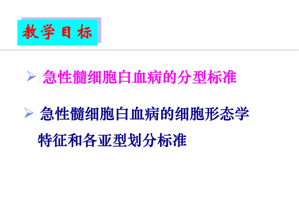 急性髓细胞白血病