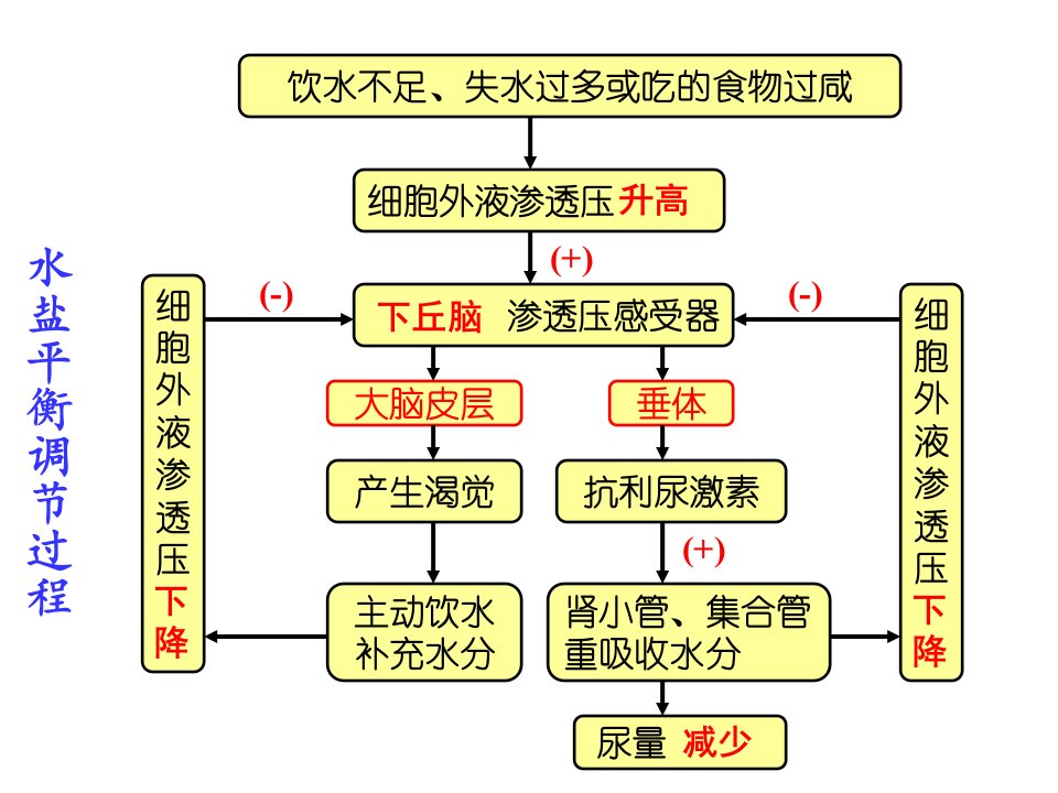 高中生物