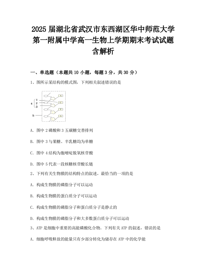 2025届湖北省武汉市东西湖区华中师范大学第一附属中学高一生物上学期期末考试试题含解析