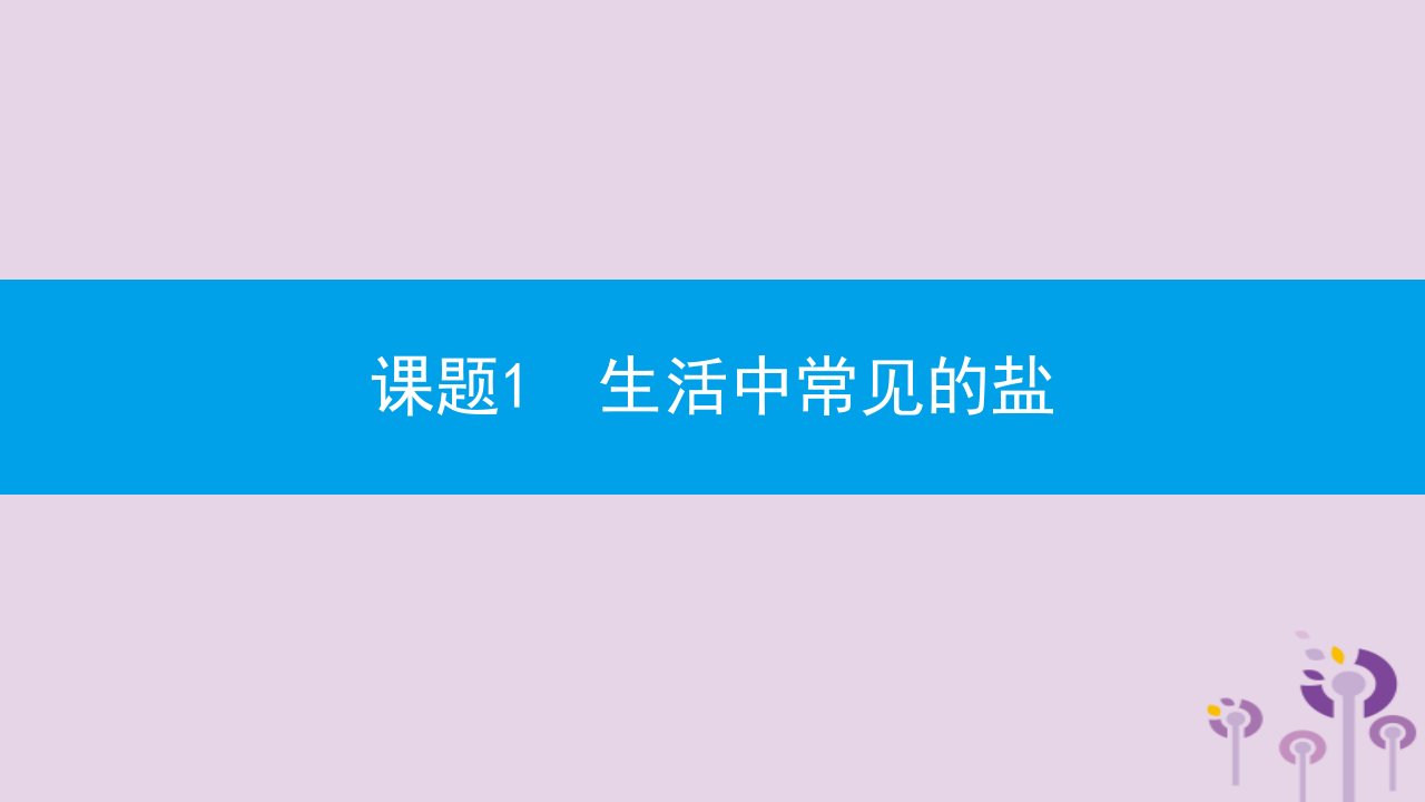 九年级化学下册第十一单元盐化肥课题1生活中常见的盐第1课时氯化钠碳酸钠碳酸氢钠和碳酸钙课件新版新人教版