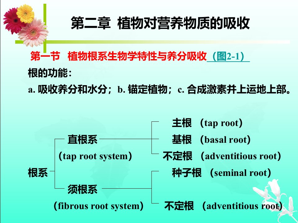 高级植物营养学课件