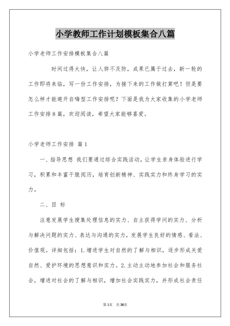 小学教师工作计划模板集合八篇例文