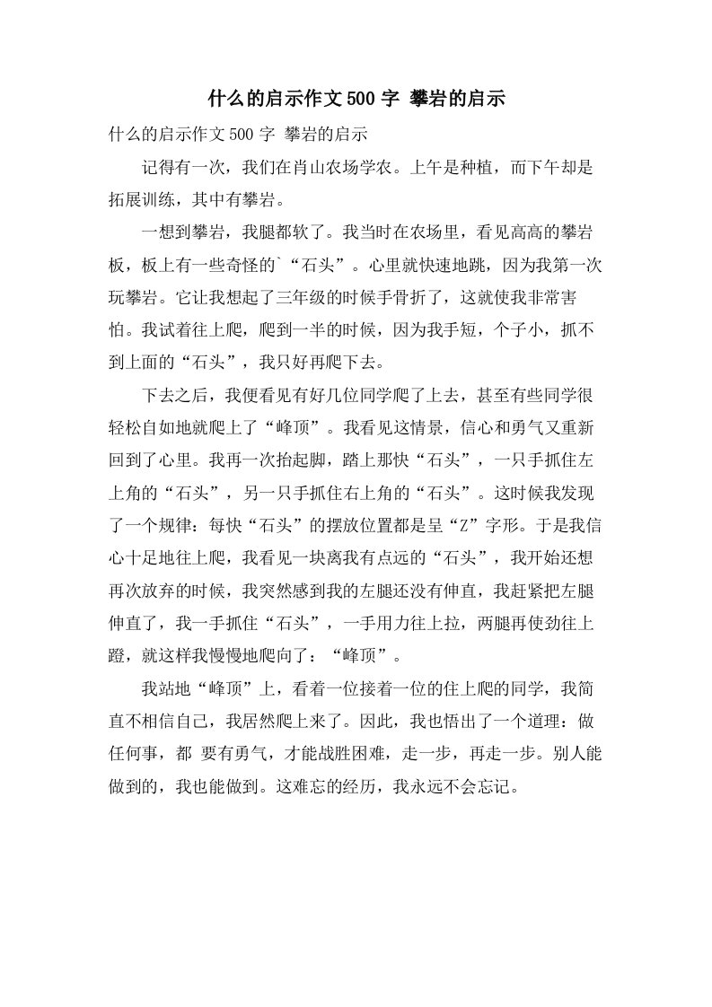 什么的启示作文500字