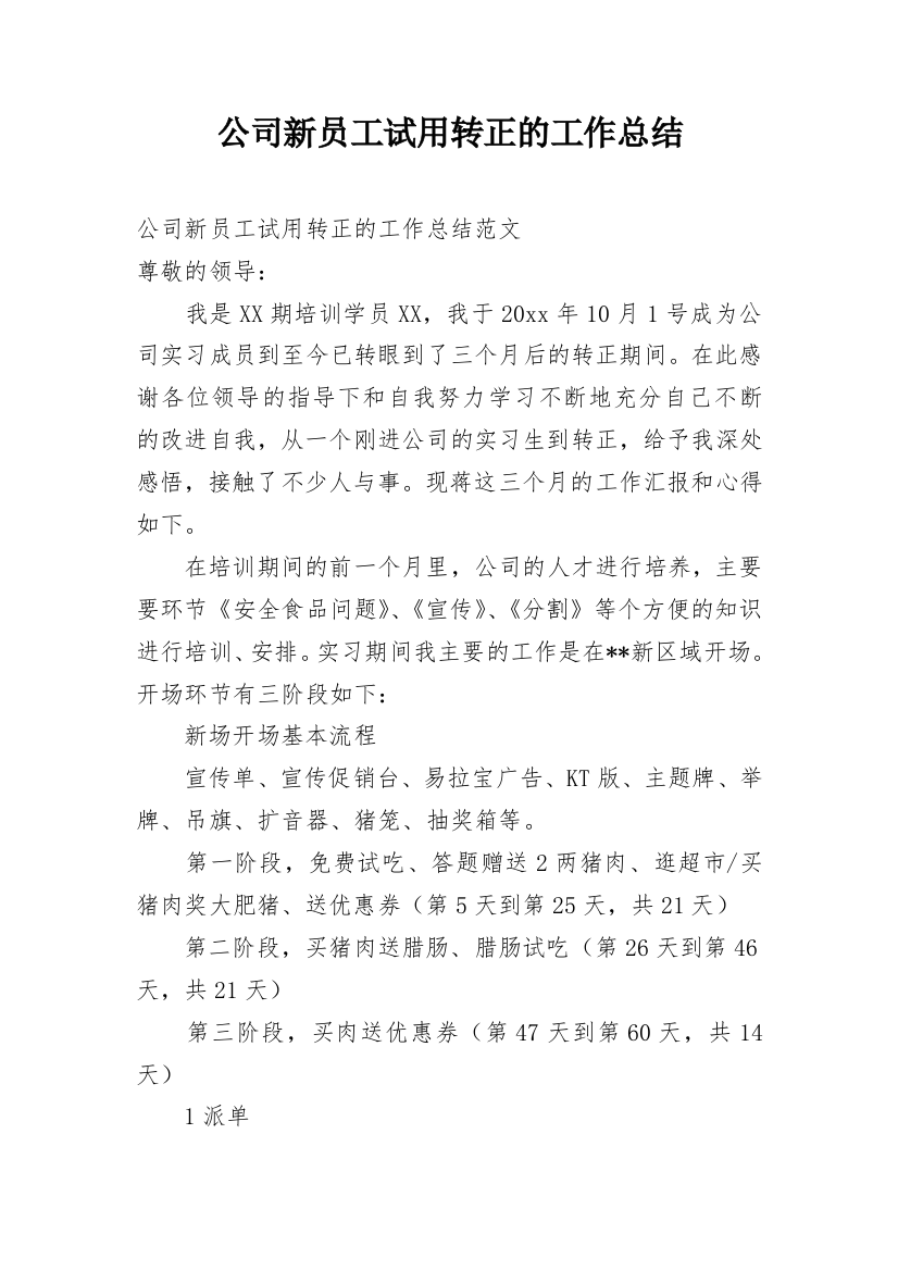 公司新员工试用转正的工作总结