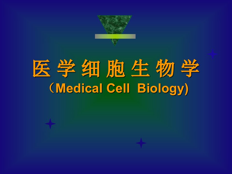 细胞生物学线粒体ppt课件