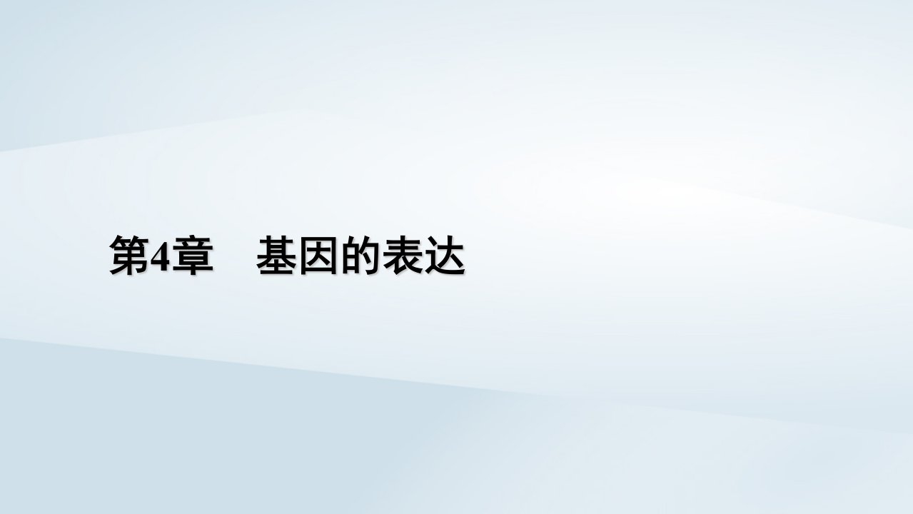 新教材2023年高中生物第4章基因的表达第1节基因指导蛋白质的合成课件新人教版必修2