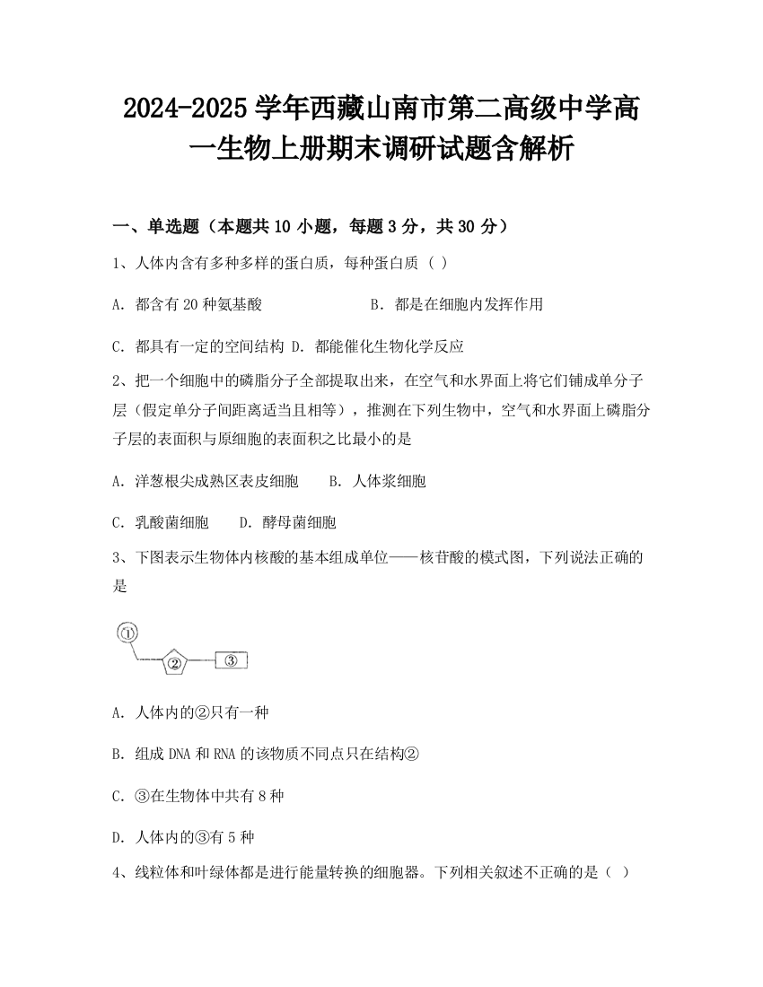 2024-2025学年西藏山南市第二高级中学高一生物上册期末调研试题含解析