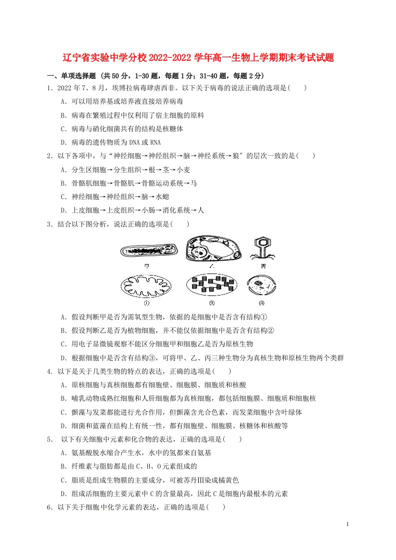 辽宁省实验中学分校2022-2022学年高一生物上学期期末考试试题