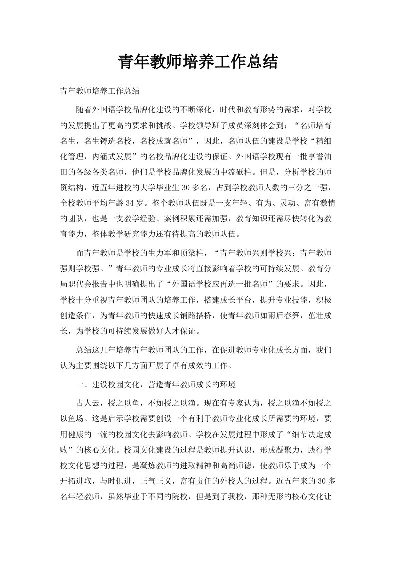 青年教师培养工作总结