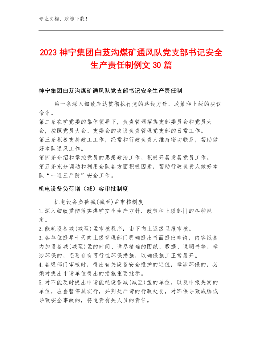 2023神宁集团白芨沟煤矿通风队党支部书记安全生产责任制例文30篇