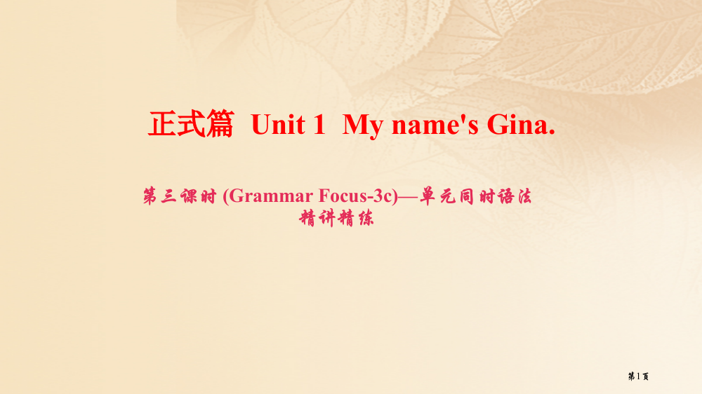 七年级英语上册-Unit-1-My-name’s-Gina第三课时Grammar-Focus-3c同