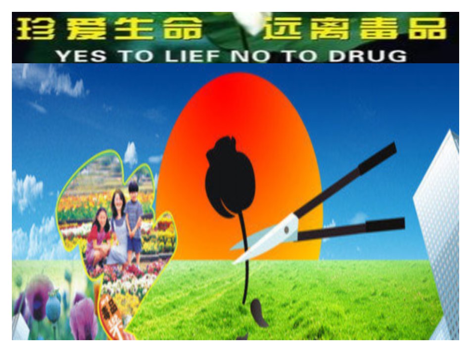 珍爱生命,远离毒品——中小学生禁毒教育课件