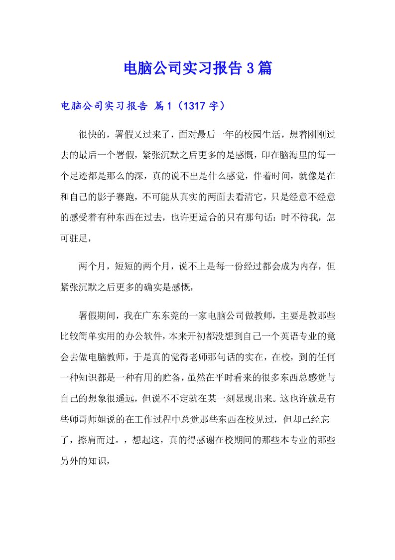 电脑公司实习报告3篇