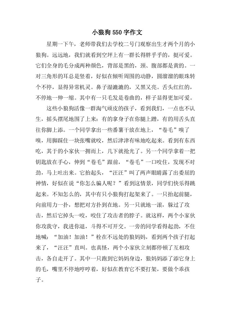 小狼狗550字作文