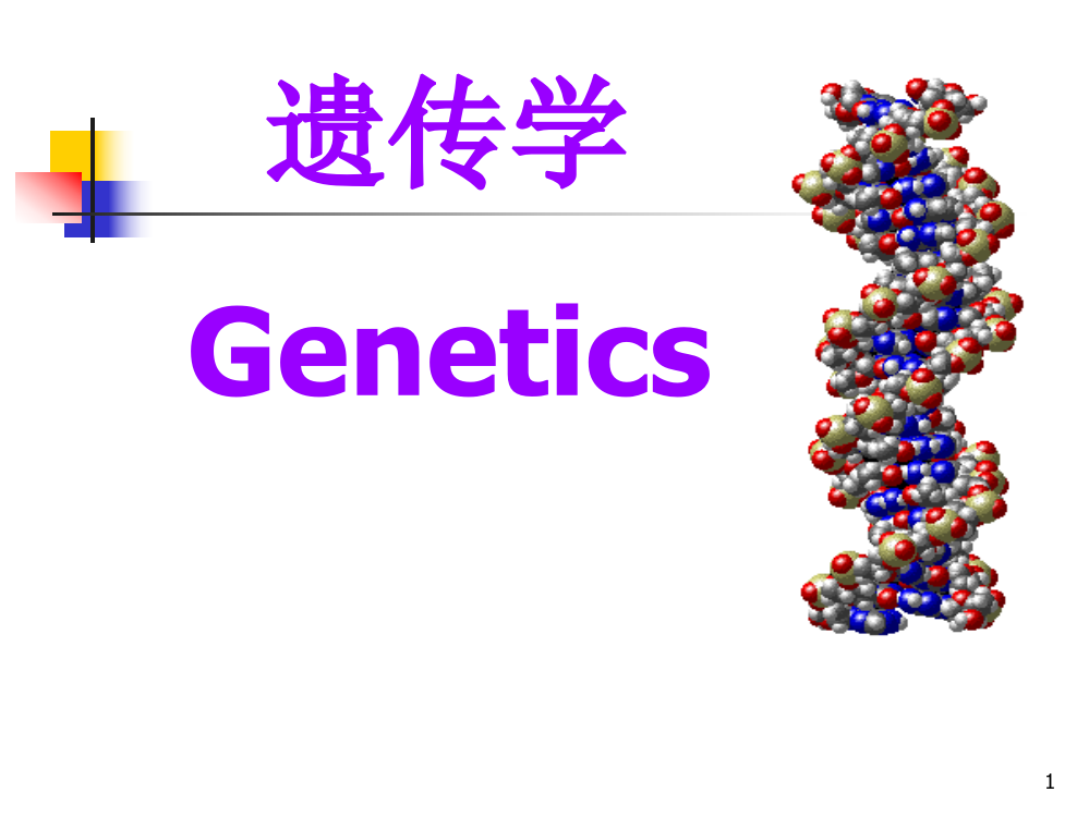 遗传学ppt课件