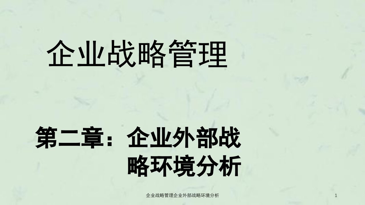 企业战略管理企业外部战略环境分析课件