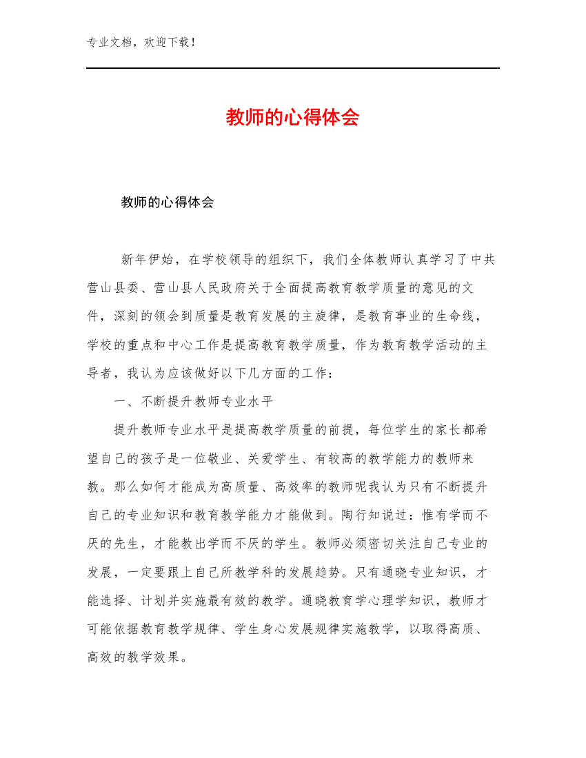 教师的心得体会例文5篇