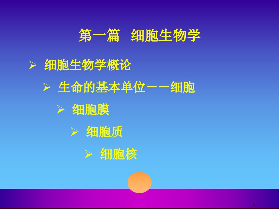 医学细胞生物学演示PPT