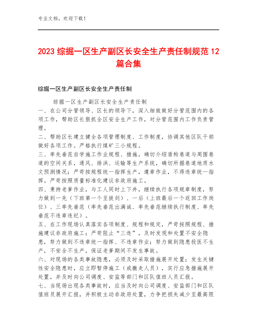 2023综掘一区生产副区长安全生产责任制规范12篇合集