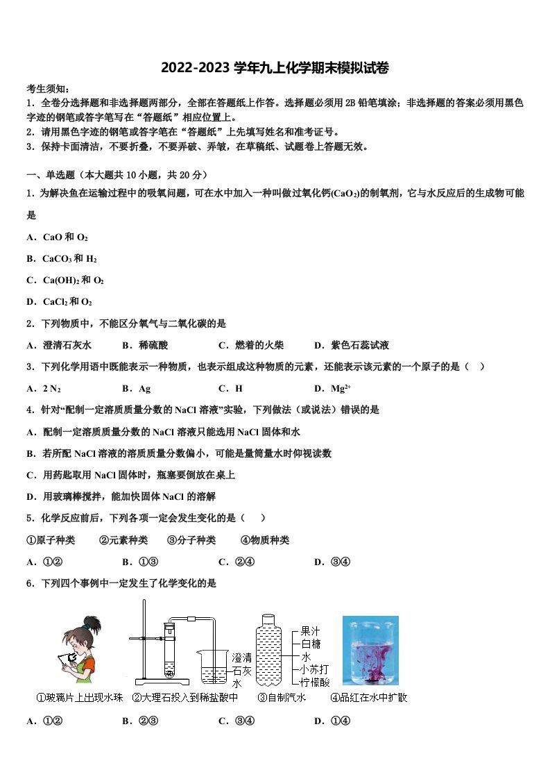 2023届湖南省衡阳市逸夫中学九年级化学第一学期期末统考模拟试题含解析