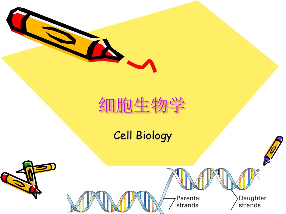 细胞生物学1