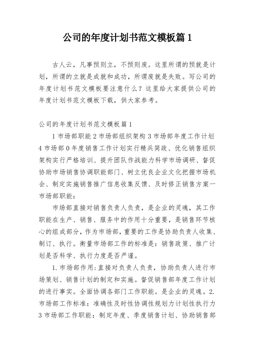 公司的年度计划书范文模板篇1