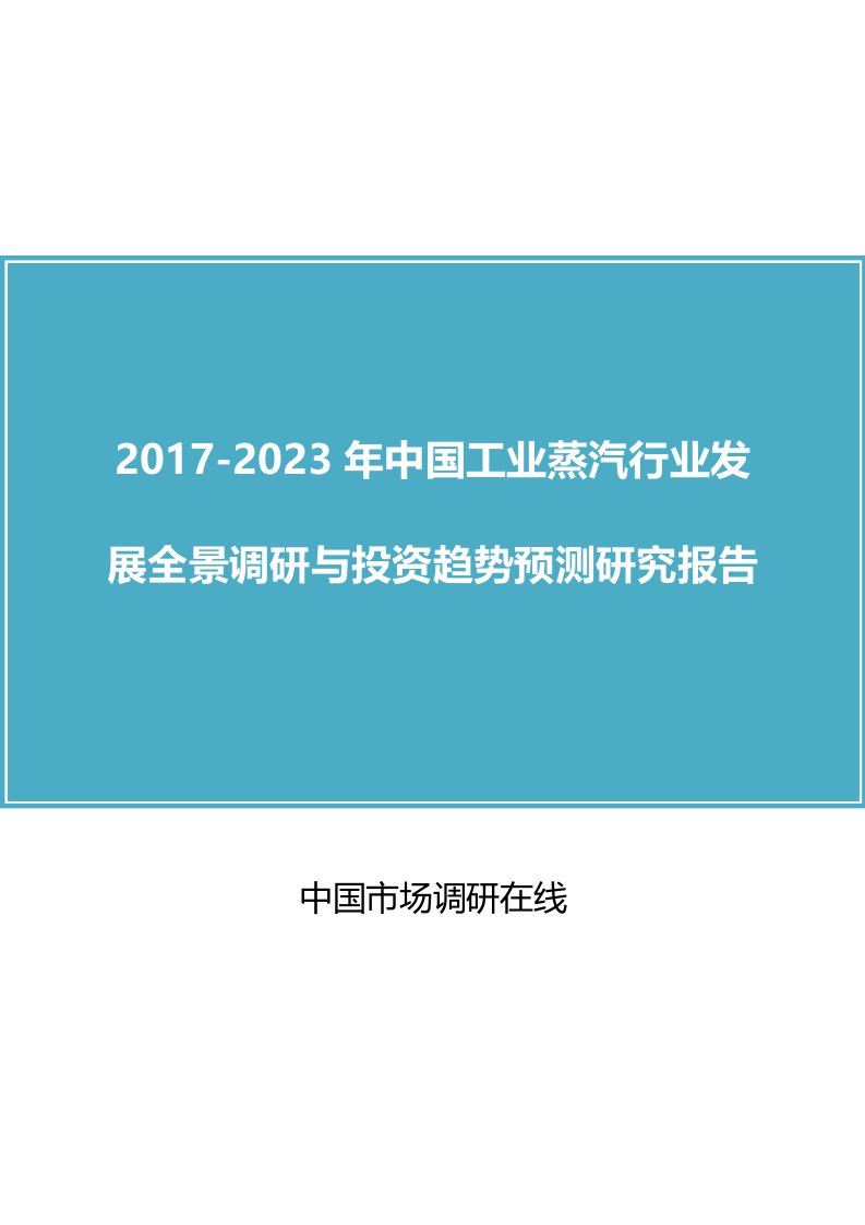 中国工业蒸汽行业调研报告