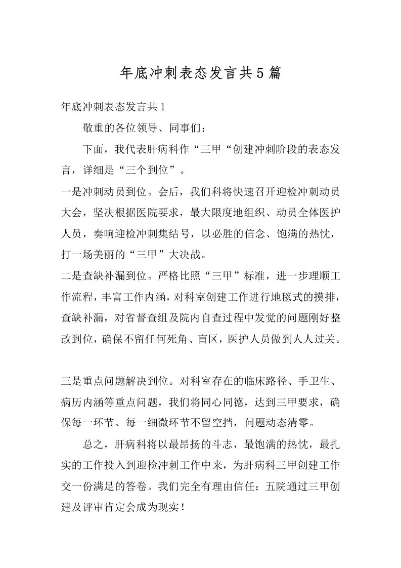 年底冲刺表态发言共5篇