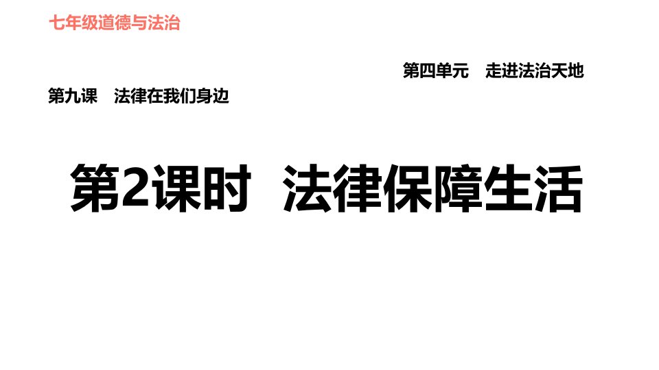 人教版道德与法治七年级下册9.2法律保障生活复习ppt课件