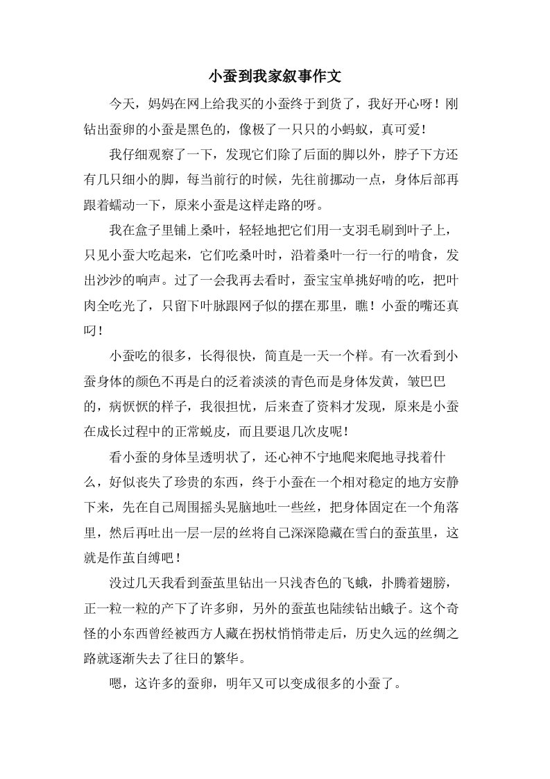 小蚕到我家叙事作文