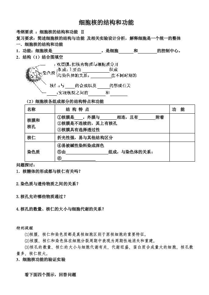 细胞核的结构和功能学案