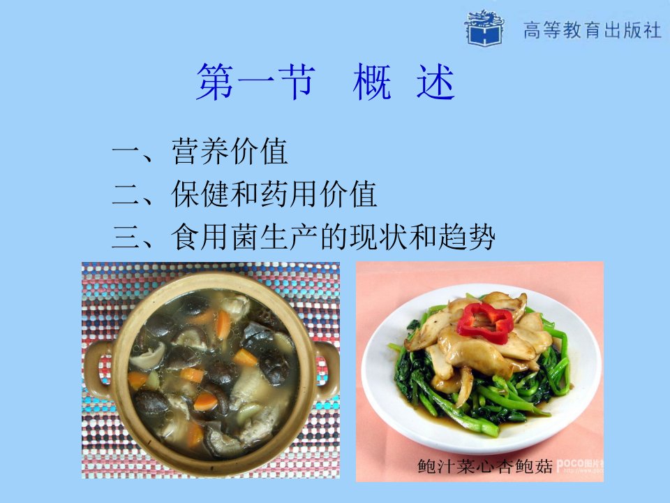 第4章食用菌栽培技术ppt课件