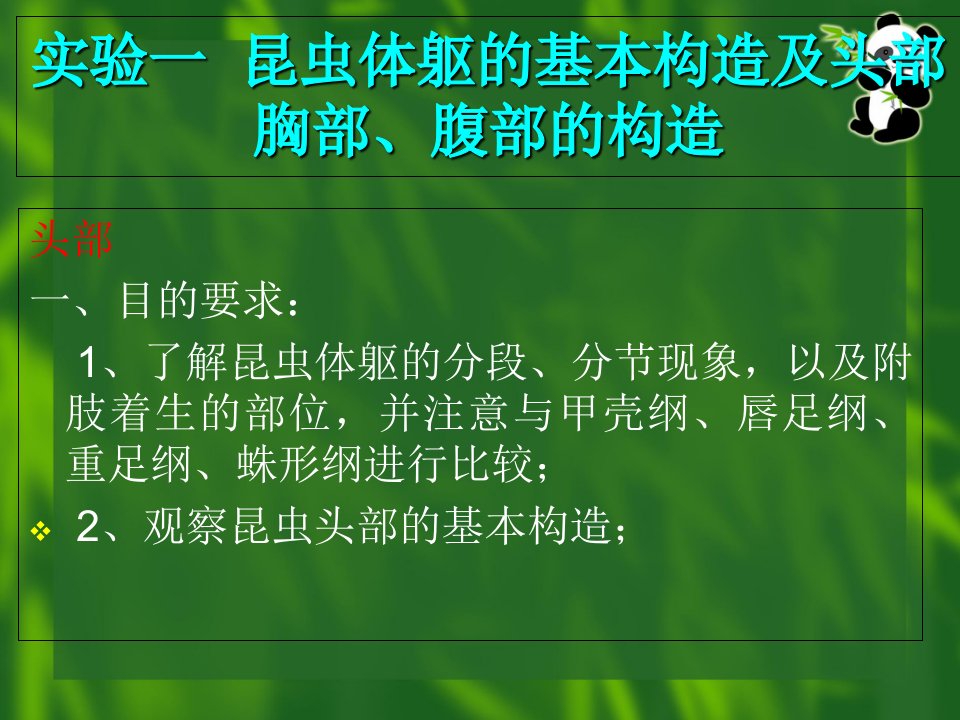 实验一二昆虫外部形态及头胸腹部特征