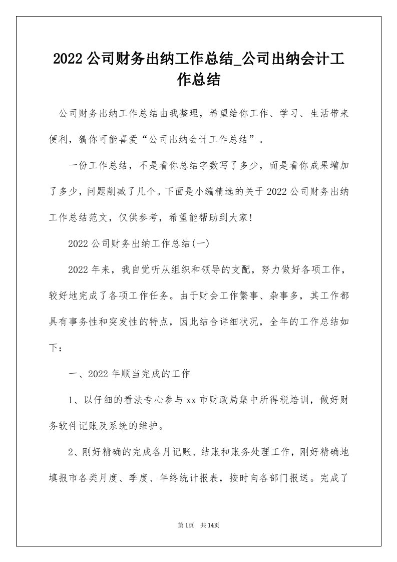 2022公司财务出纳工作总结_公司出纳会计工作总结_1