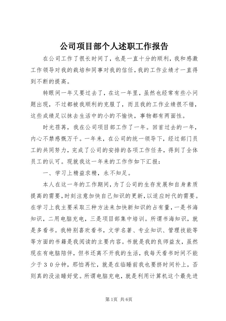 公司项目部个人述职工作报告