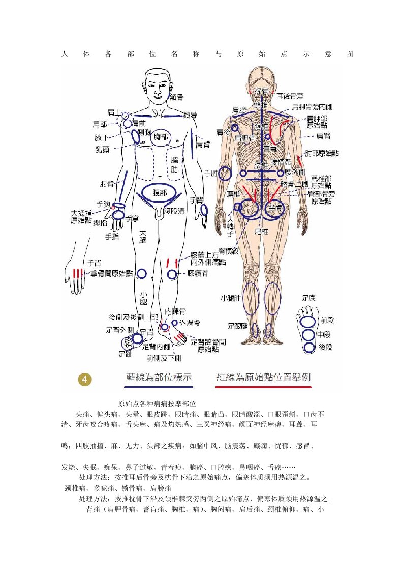 人体各部位名称及原始点示意图