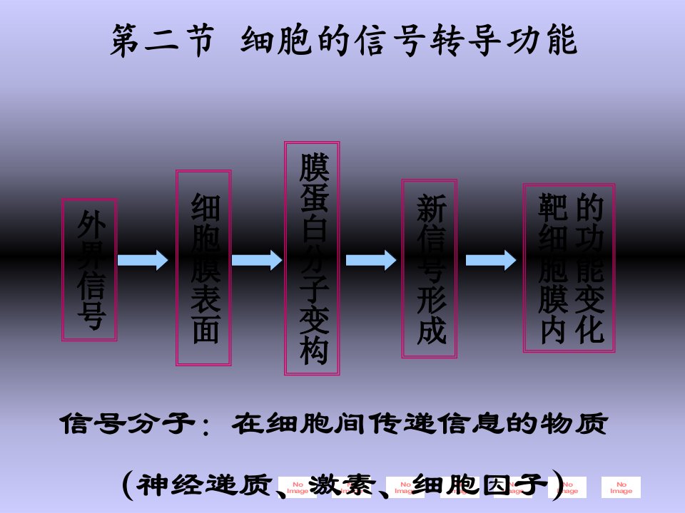 细胞的信号传导