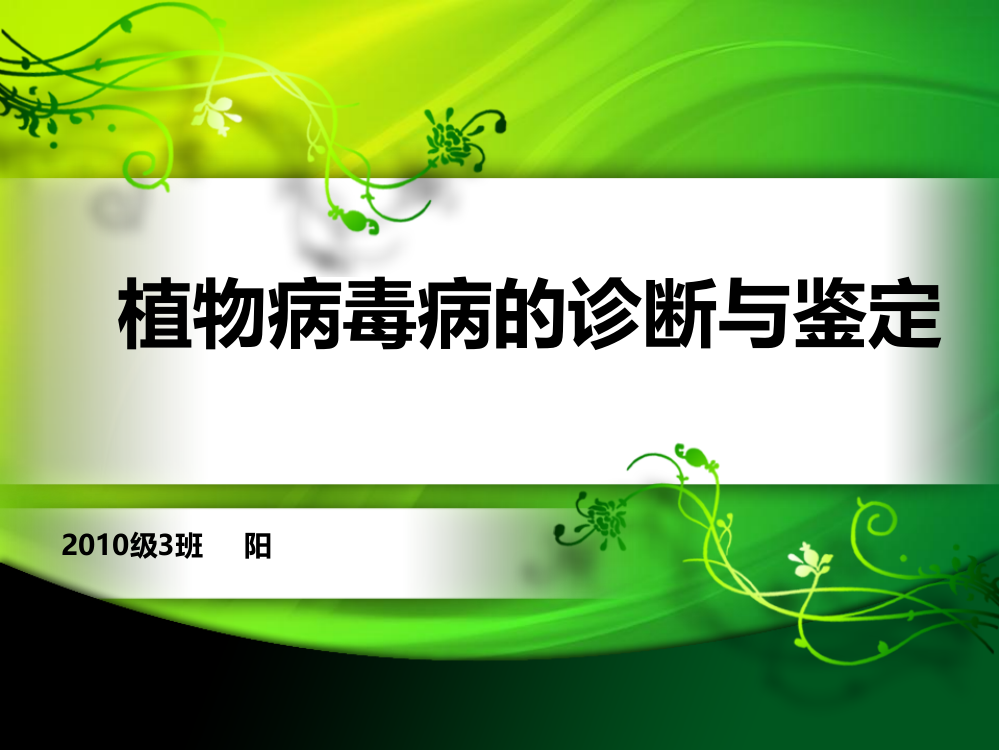 植物病毒病的诊断与鉴定ppt课件