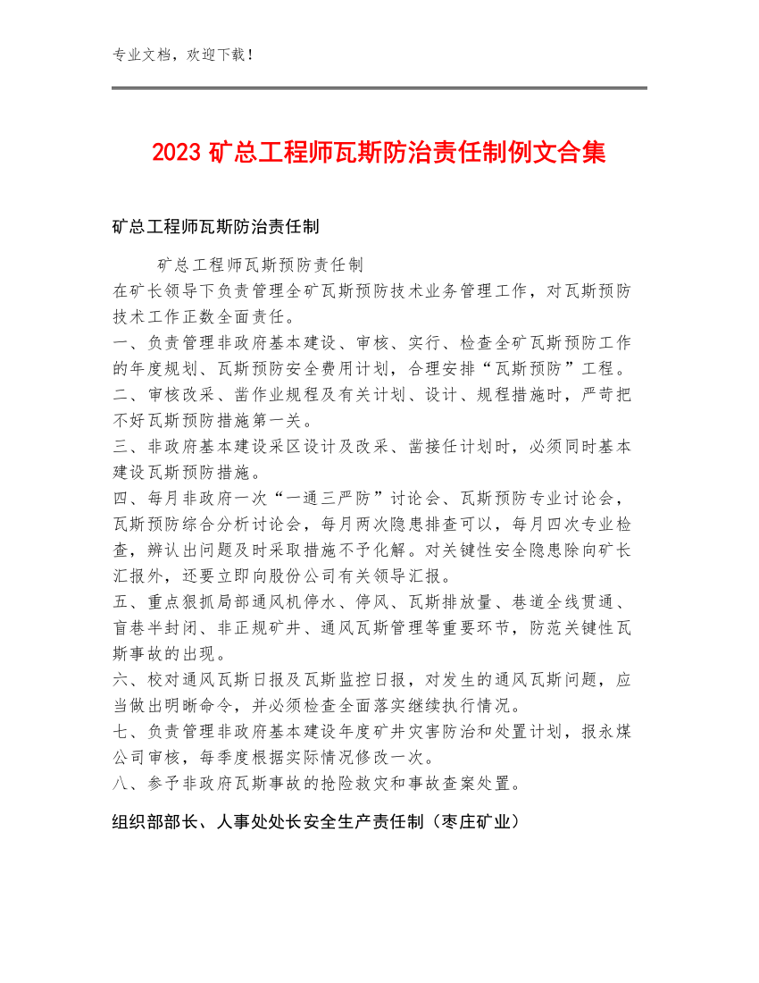 2023矿总工程师瓦斯防治责任制例文合集