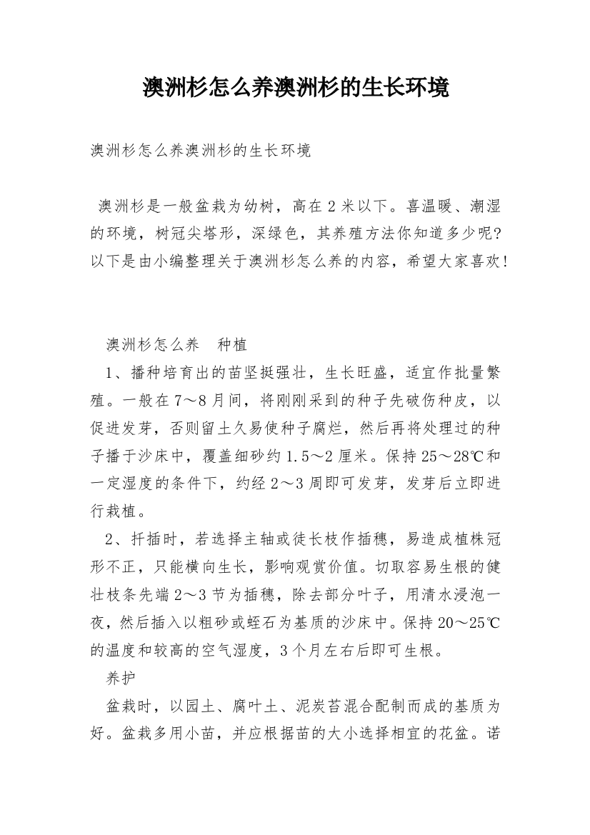 澳洲杉怎么养澳洲杉的生长环境