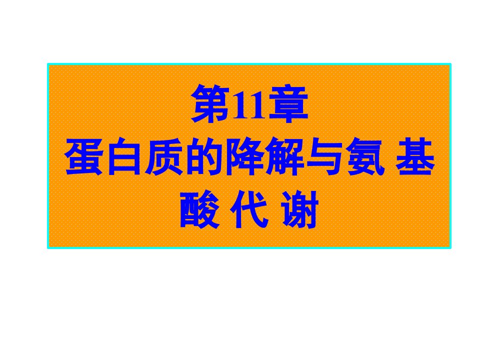 蛋白质降解与氨基酸代谢