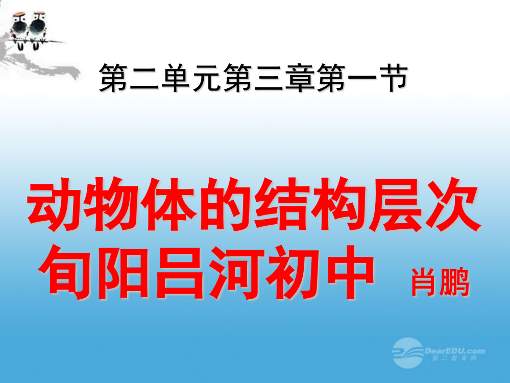 七年级生物上册231动物体的结构层次人教新课标版新